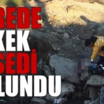 çıplakcesed