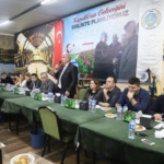 irfanmandalı