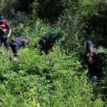 1037_kok_hint_keneviri_boyle_yakalandi_h15402_be212