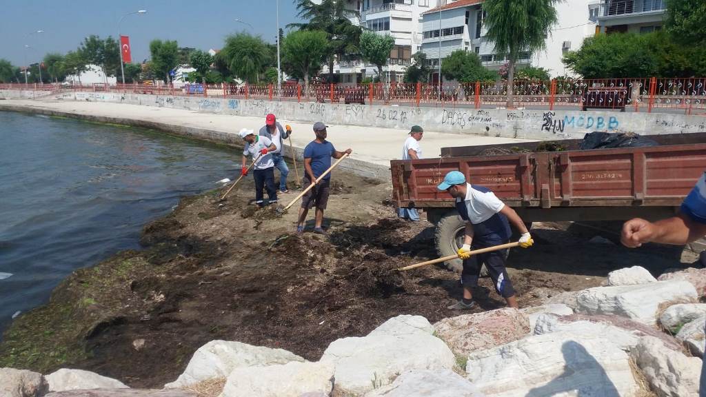 Sahil Temizliği Gerçekleşti