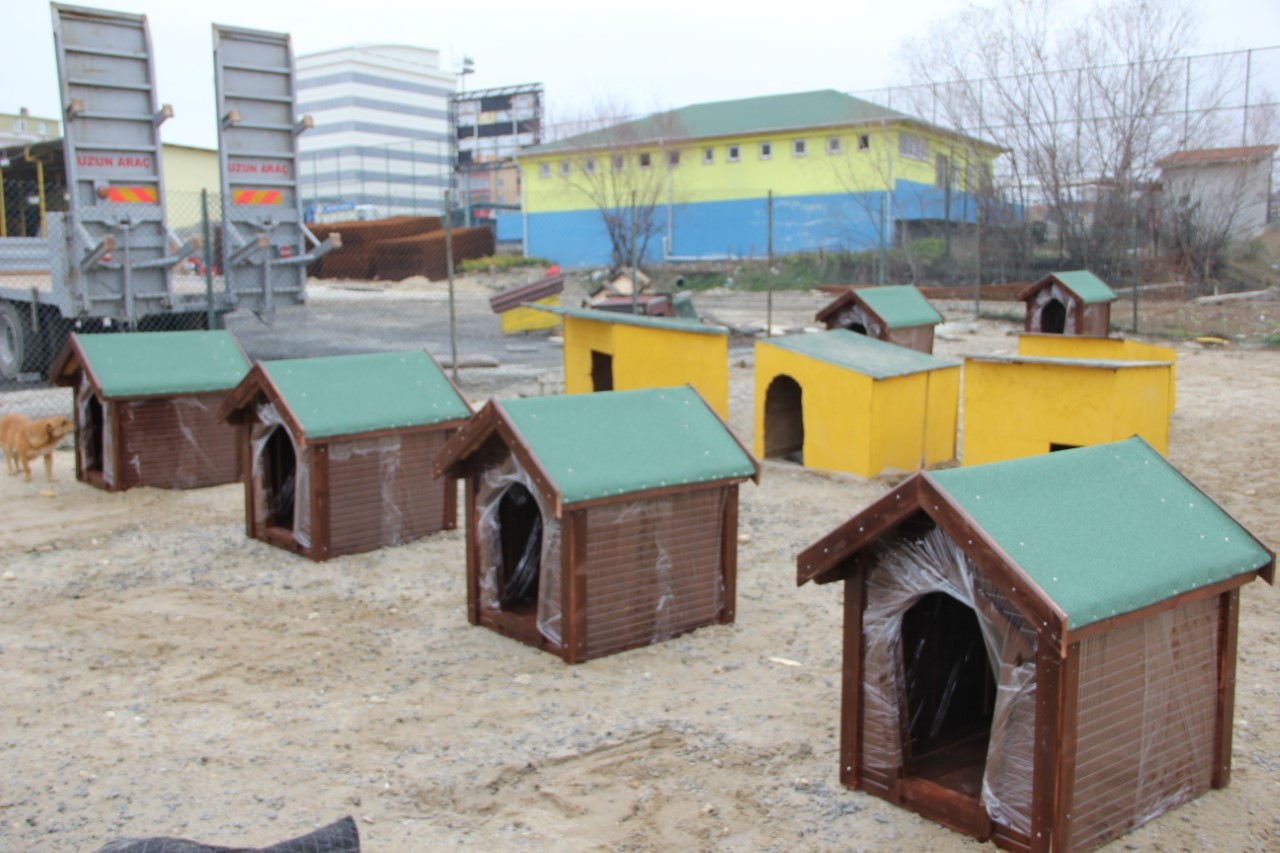 ÇOSB’DEN HAYVAN BARINAĞINA KULUBE VE MAMA YARDIMI