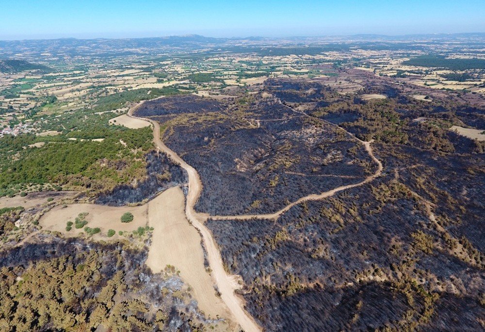 ÇOSB’tan anlamlı proje;Çanakkale’de yanan ormanlık alanı yeniden ağaçlandıracak
