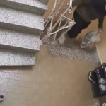 Ekran görüntüsü 2024-09-23 145747