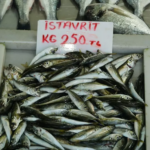 Ekran görüntüsü 2024-09-26 163941