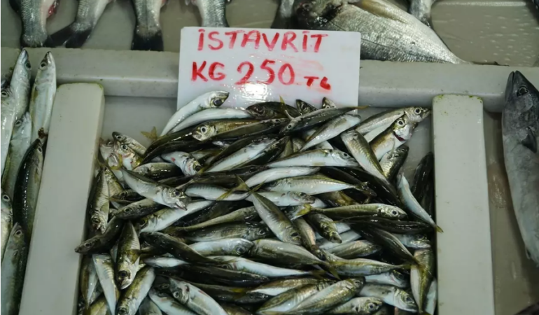 İstavrit Tezgahlarda Yerini Aldı