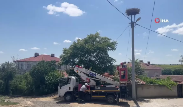 Dronlarla Leylek Yuvalarına Bakım