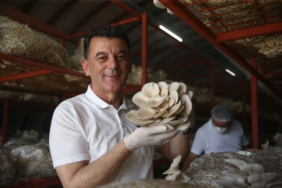 kapakli-mantar-ureten-ve-isleyen-eller-projemiz-altin-karinca-odulune-layik-goruldu_2_1733826174