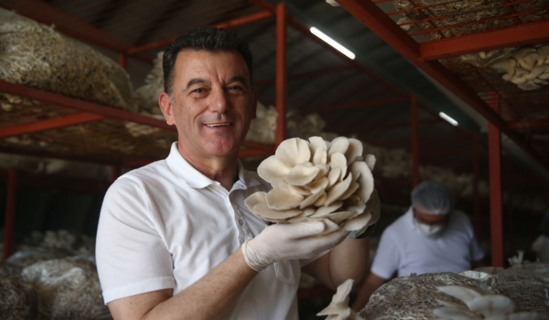 “Kapaklı Mantar Üreten ve İşleyen Eller” Projesi Altın Karınca Ödülüne Layık Görüldü