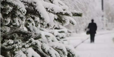 Ekran görüntüsü 2025-02-12 140600