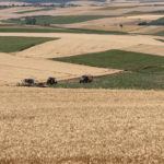 Ekran görüntüsü 2025-06-17 161854