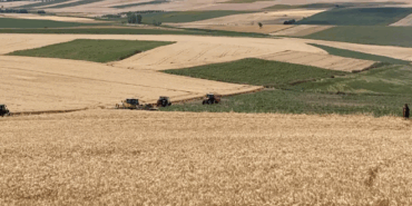 Ekran görüntüsü 2025-06-17 161854