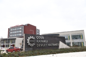 555731159_1356532395838082_7553951256534140394_n