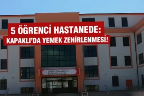 task_01kav14t7zf11ap3qnfh0cbmr7_1763991360_img_1