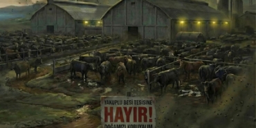 WhatsApp Image 2026-01-07 at 15.30.03